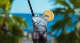 ПОЧИВКА СЕФЕРИХИСАР