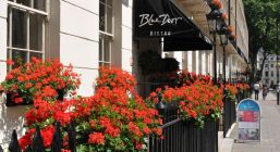 Лондон - седемдневна