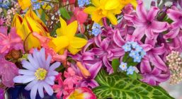 Септемврийски празници в Барселона - Коста Брава - със самолет, на български език!