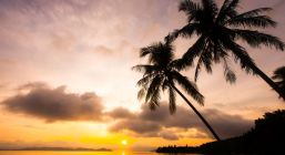 Почивка в Кушадасъ,Турция с автобус от Варна - 12 нощувки