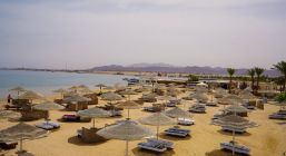 EAGLES PARADISE ABU SOMA