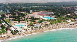 SELECTUM NOA BELEK